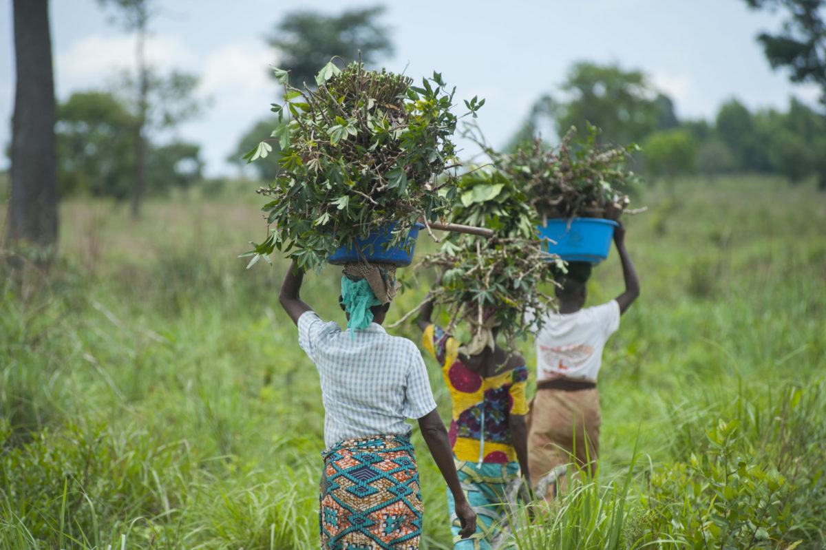 DRC women carrying crops